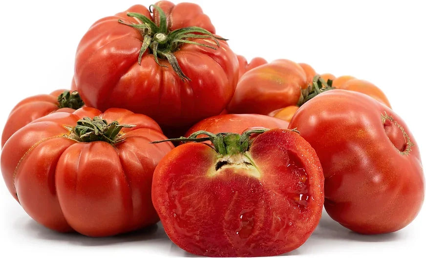 Lebanese Mountain Tomatoes 950g — بندورة جبلية | Air-Flown