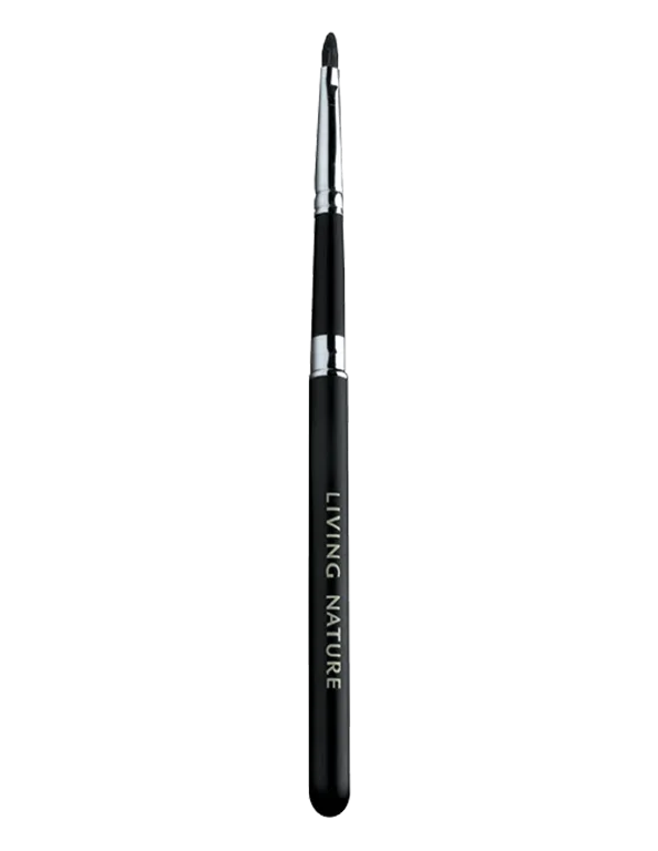Lip Brush