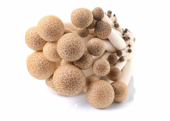Brown Shimeji Mushroom 150g