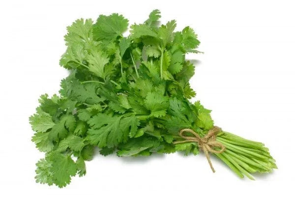 Coriander 100g