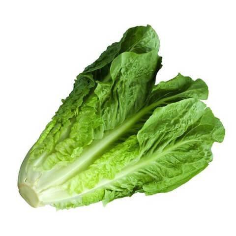 Romaine Lettuce 500g